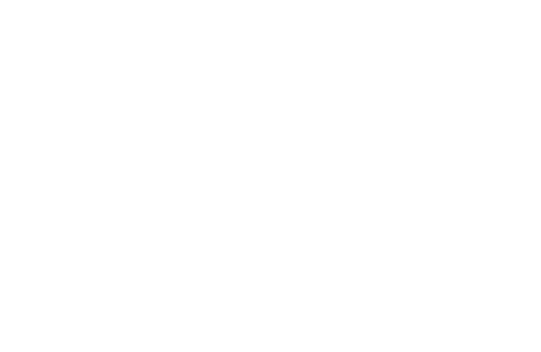 Mon & Joji vol.2 - A report on the 1st week.